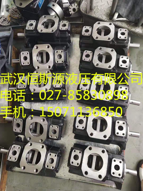 天津?yàn)I海新區(qū)：?jiǎn)尉€干油泵及裝置PAVC100D32R426C3AM22